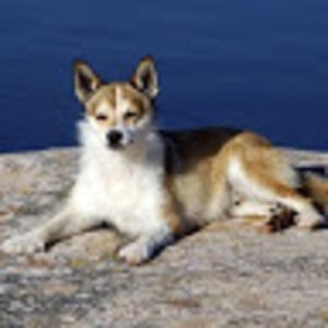 Meet your Posher, Judi